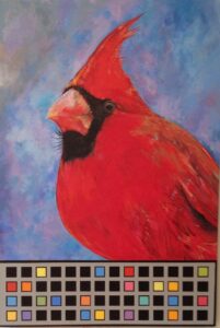 A painting of a male cardinal with three rows of color blocks below. Presumably the colors are what were used in the production of the painting