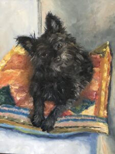 A portrait of a small black and brown terrier dog looking at the viewer in curiosity while resting on a colorful sofa end pillow