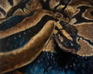 A painting of a detail of a venomous snake with black and gold patterns along its body focused on its head wrapped within its own torso