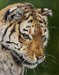 A painting of a young tiger's bust seen in a three-quarters profile as it stares at something outside of the frame