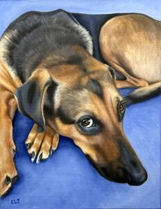 A painting of a brown and black dog lying on its stomach but staring at the viewer with eyes open wide